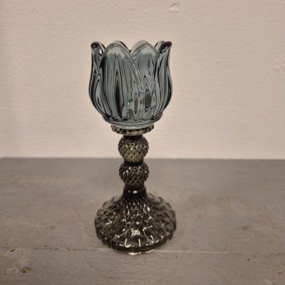 20240924_172634 tulp blauw (1)